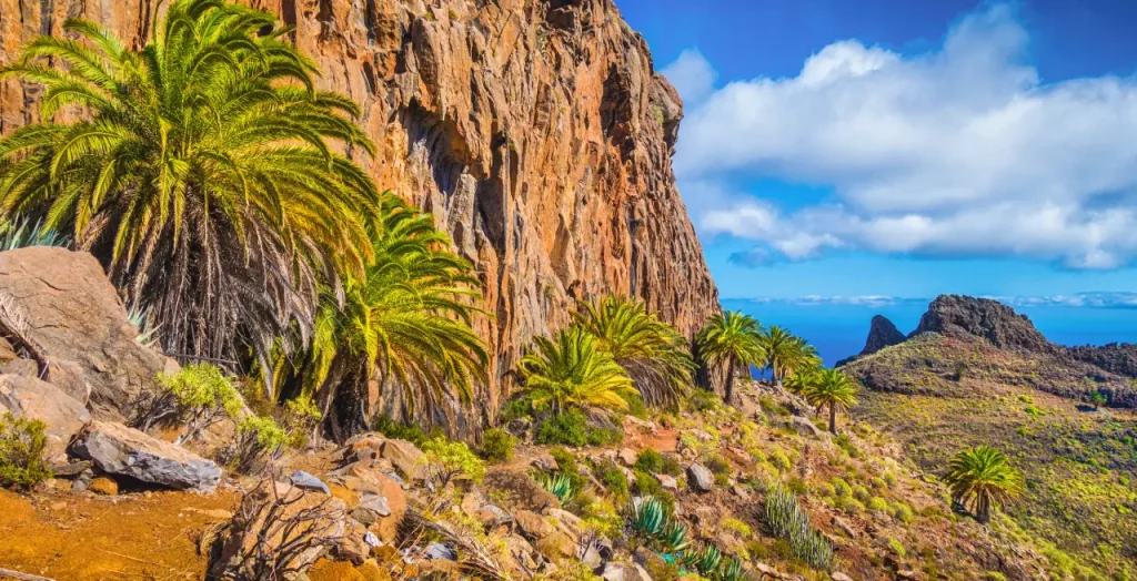 Grüne Palmen und felsige Landschaft im Nationalpark Parque Nacional de Garajonay auf La Gomera, Kanarische Inseln, Spanien.