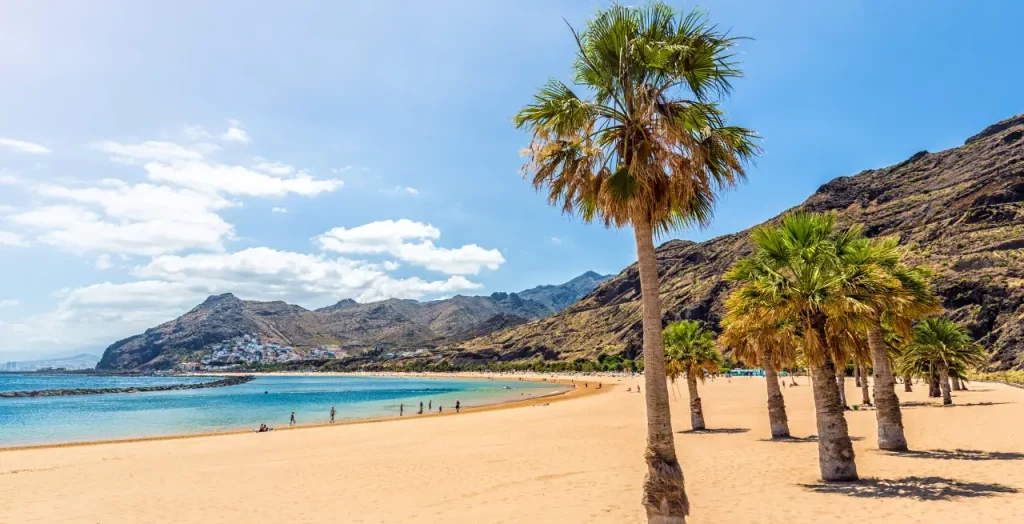Strand Playa de las Teresitas auf Teneriffa, Kanaren, Spanien. Palmen und türkisblaues Wasser [Bildquelle: © querbeet | Canva]
